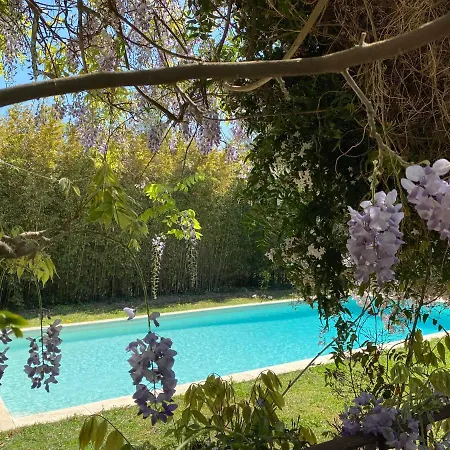 La Maison Villa